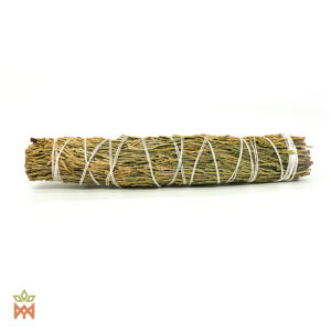 Incense Cedar - Libocedrus decurrens – leaves, bundle, large